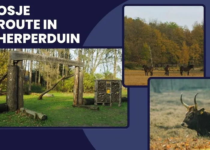 Luxe Suite, Near Station & Free Wifi